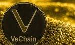 VeChain Coin Geleceği ve Yorumları (2022 2025 2030)