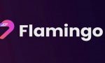 flamingo-coin-gelecegi