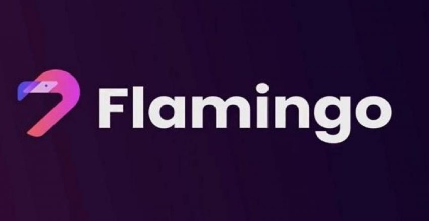 Flamingo FLM Coin Nedir? FLM Coin Geleceği 2023, 2023, 2025, 2030