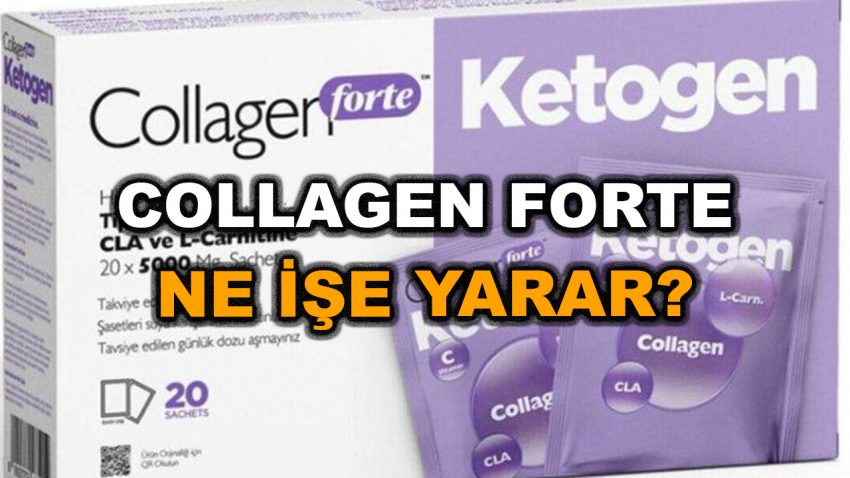 Collagen Forte Ne İşe Yarar? Collagen Forte Fiyatı 2023